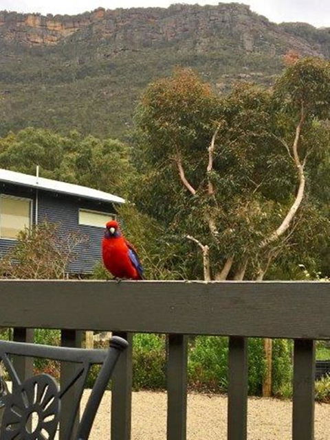 Kangurra Holiday House - Tourism TAS 15