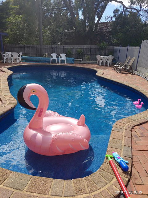 Coachman Motel And Holiday Units - Hobart Tourism 7