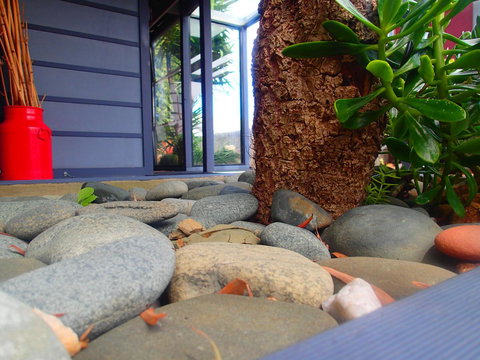 Azen Haven - Tourism TAS 11