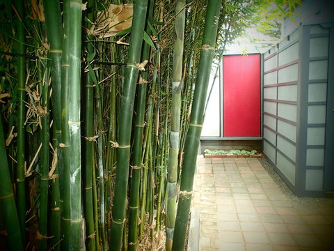 Azen Haven - Tourism TAS 13