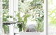 Botanica Editions - thumb 1