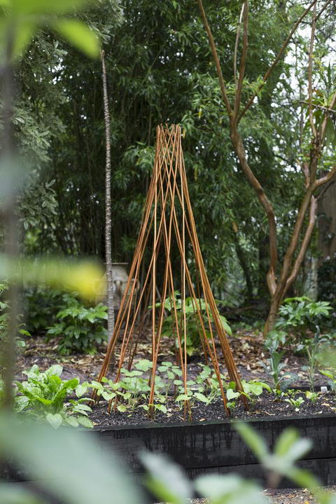 Botanica Editions - Hobart Tourism 23