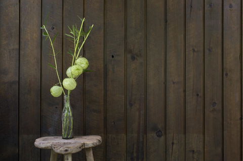 Botanica Editions - Hobart Tourism 10