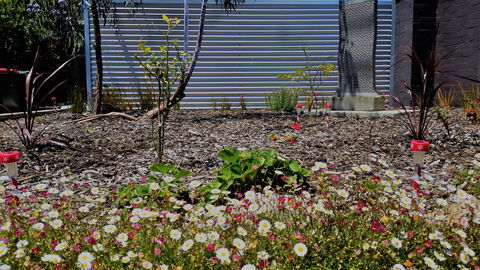 The Olive Tree Motel - Hobart Tourism 16