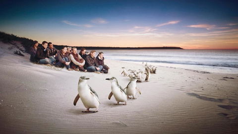 C-Scape Water Front Apartment - Tourism TAS 16