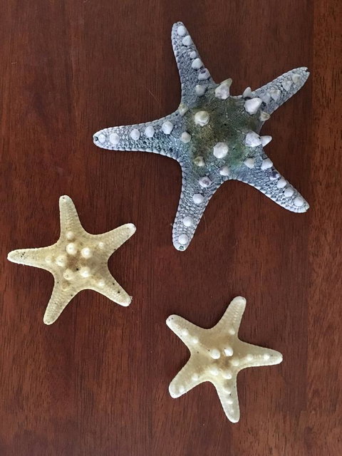 Ocean View Beach House - Hobart Tourism 2