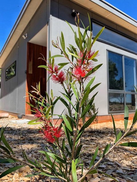 By Moonlight - Tourism TAS 4