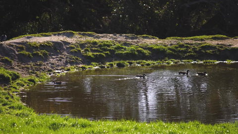 Limosa Rise - Hobart Tourism 15