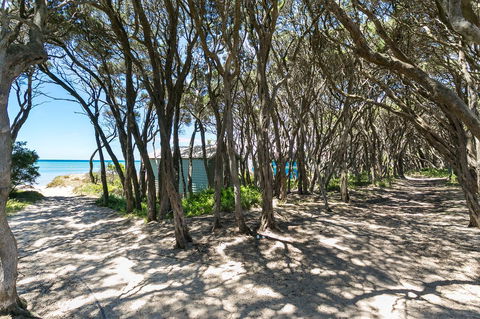 Fairhills - NEW LISTING, Beautifully Styled - Tourism TAS 12