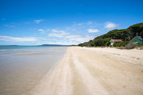 Fairhills - NEW LISTING, Beautifully Styled - Tourism TAS 11