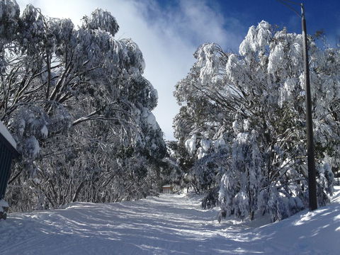Maisonettes Falls Creek - Hobart Tourism 17