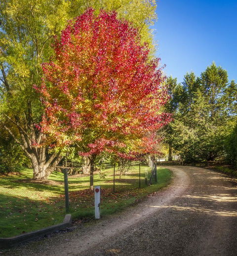 Bright Mystic Valley - Tourism TAS 23