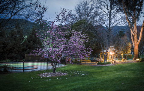 Bright Mystic Valley - Tourism TAS 26