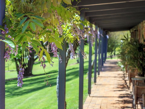 Bright Mystic Valley - Tourism TAS 22