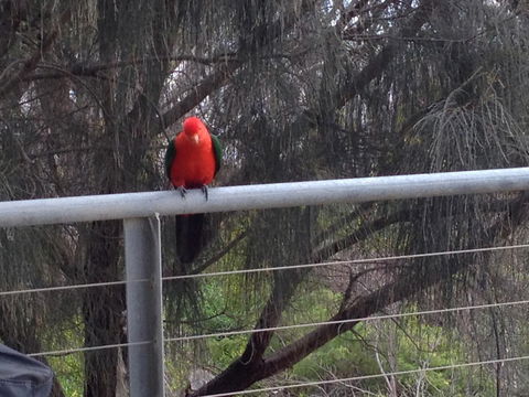 Apollos View Accommodation - Tourism TAS 23