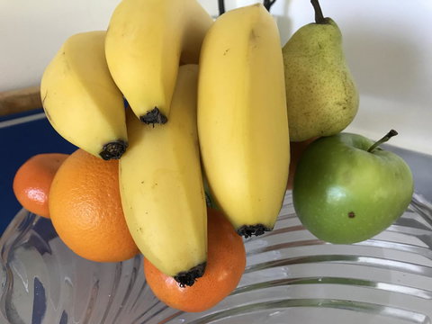 The Fingal Farm - Tourism TAS 15