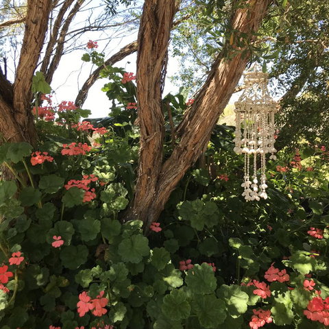 The Fingal Farm - Tourism TAS 27