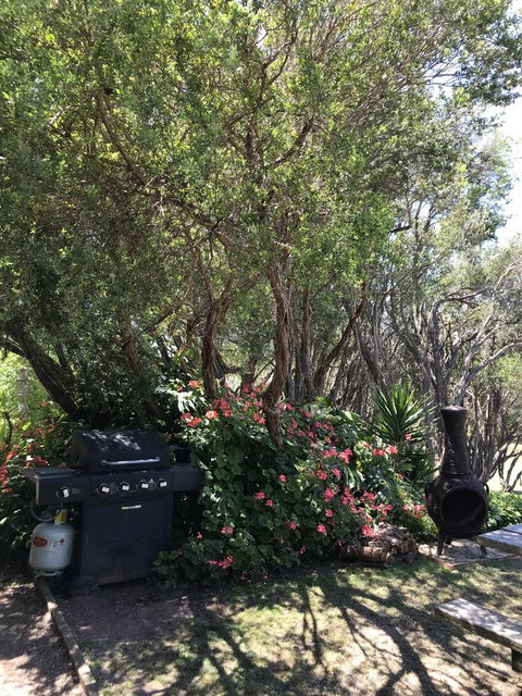 The Fingal Farm - Tourism TAS 24