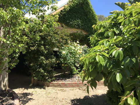 The Fingal Farm - Tourism TAS 34