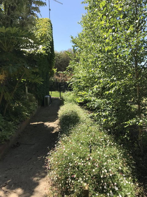 The Fingal Farm - Tourism TAS 26