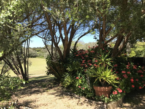 The Fingal Farm - Tourism TAS 9