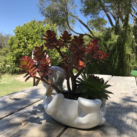 The Fingal Farm - Tourism TAS 30