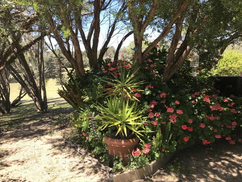 The Fingal Farm - Tourism TAS 33