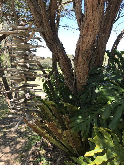 The Fingal Farm - Tourism TAS 11