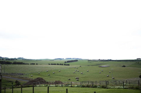 Stunning Waterfront Only 10 Minutes To Phillip Island - FREE EV UNIT 7kW For Electric Cars - Pet Friendly, Fireplace FREE WIFI Wine & Chocolates - Hobart Tourism 10