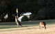 Lakeside At Mallacoota - thumb 37