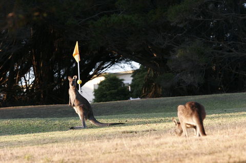 Lakeside At Mallacoota - Hobart Tourism 37