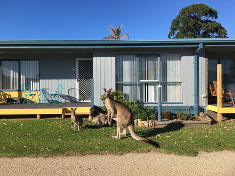 Lakeside At Mallacoota - Hobart Tourism 15