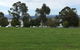 Lakeside At Mallacoota - thumb 22