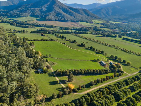 The Buckland Studios - Tourism TAS 3