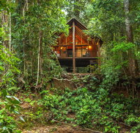 The Canopy Rainforest Treehouses  Wildlife Sanctuary - Tourism TAS