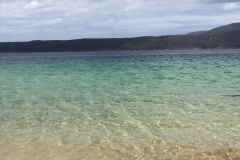 The Cove... On The Rocks At Port Arthur - Tourism TAS 1