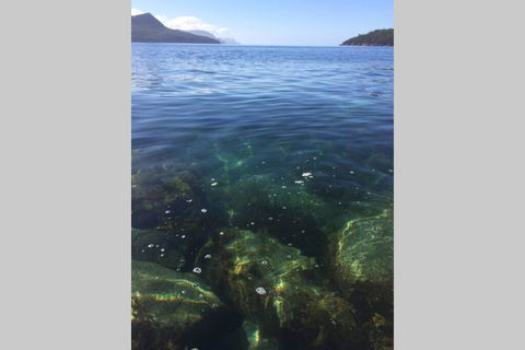 The Cove... On The Rocks At Port Arthur - Tourism TAS 3