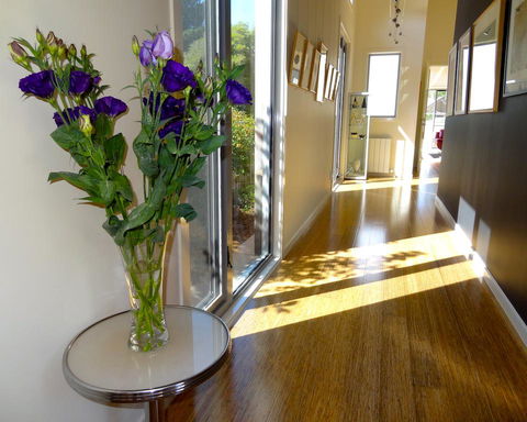 The Gallery Accommodation McCrae - Tourism TAS 2