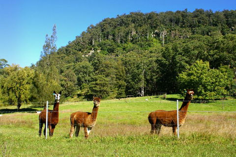 The Heavens Mountain Escape - Tourism TAS 2