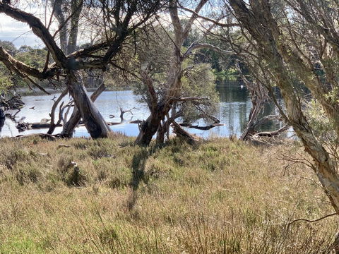 The Lake House - Tourism TAS 0