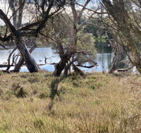 The Lake House - Tourism TAS