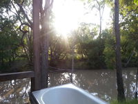 Book Chinchilla Accommodation Vacations Hobart Tourism Hobart Tourism