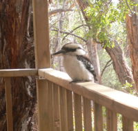 The Ledge Holiday House - Tourism TAS