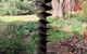 The Millbend House - thumb 3
