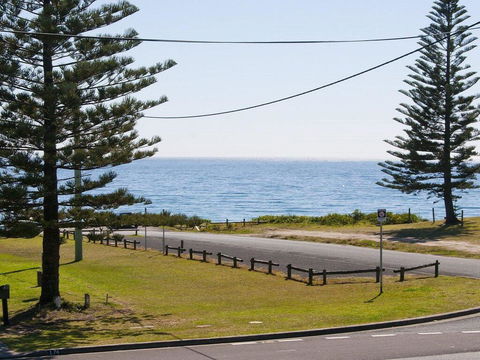 The Penguins Head - Across From The Beach - Hobart Tourism 0