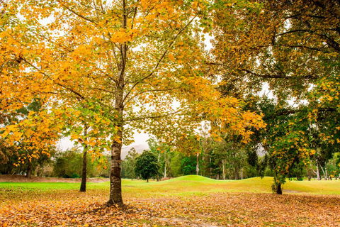 The Retreat At Wisemans - Tourism TAS 1