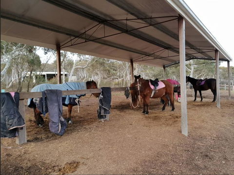 The Saddle Camp Tiny House, Braidwood - Hobart Tourism 1