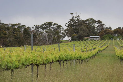 The Sleeping Lady Private Retreat - Hobart Tourism 2