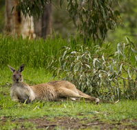 The Stirling Golf Club - Tourism TAS