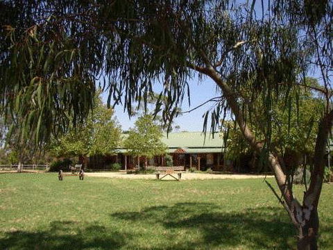 The Vineyard Motel - Hobart Tourism 0